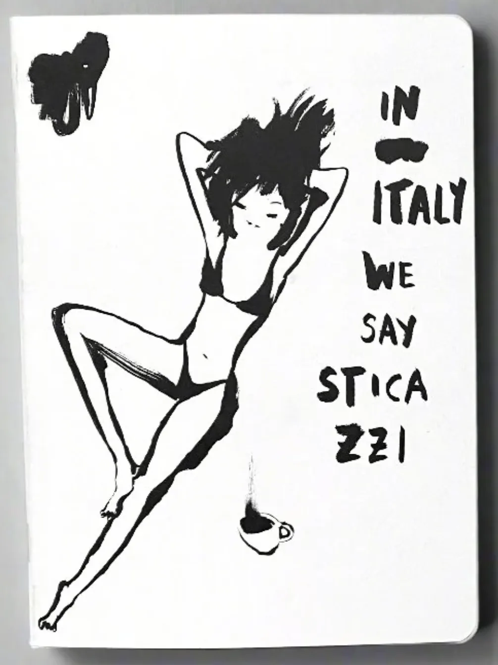 Quaderno In Italy we say sticazzi