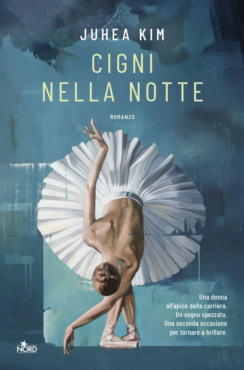 Cigni nella notte