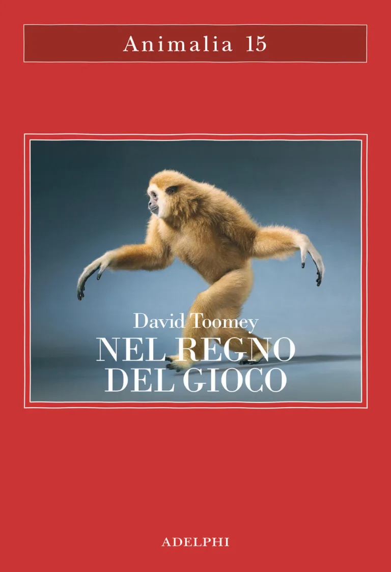 Nel regno del gioco