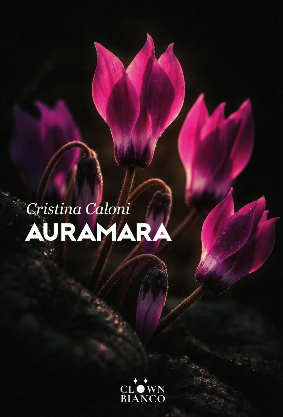 Auramara