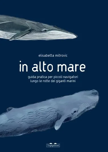 in alto mare. guida pratica per piccoli navigatori lungo le rotte dei giganti marini. ediz. a colori