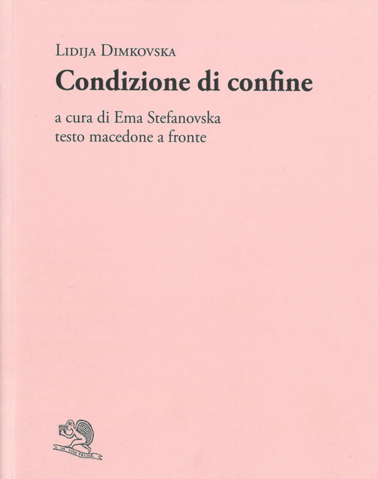 Condizione di confine