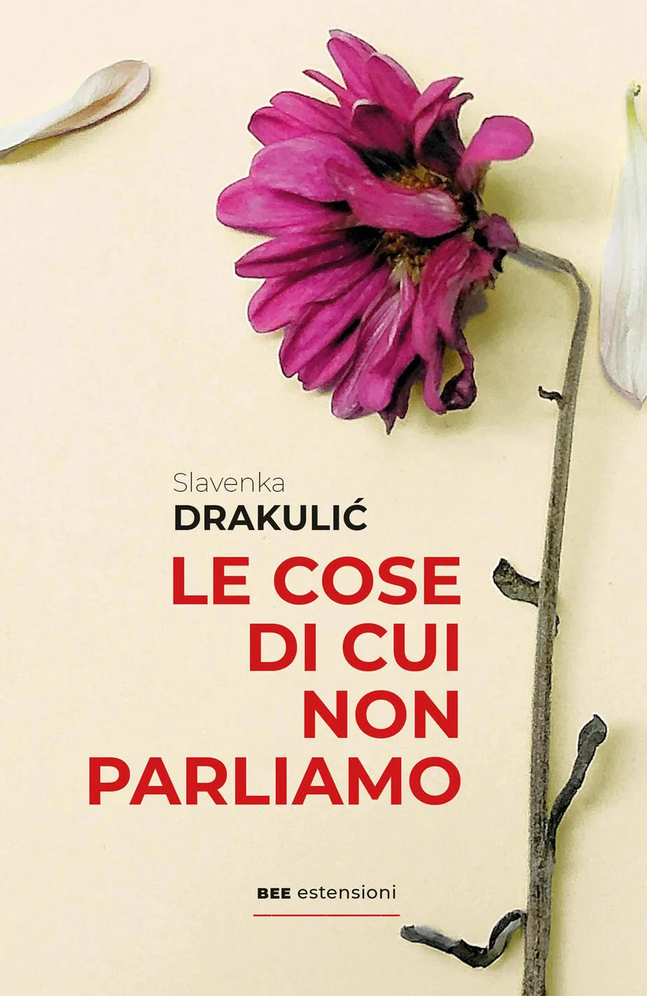 Cose Di Cui Non Parliamo (le)