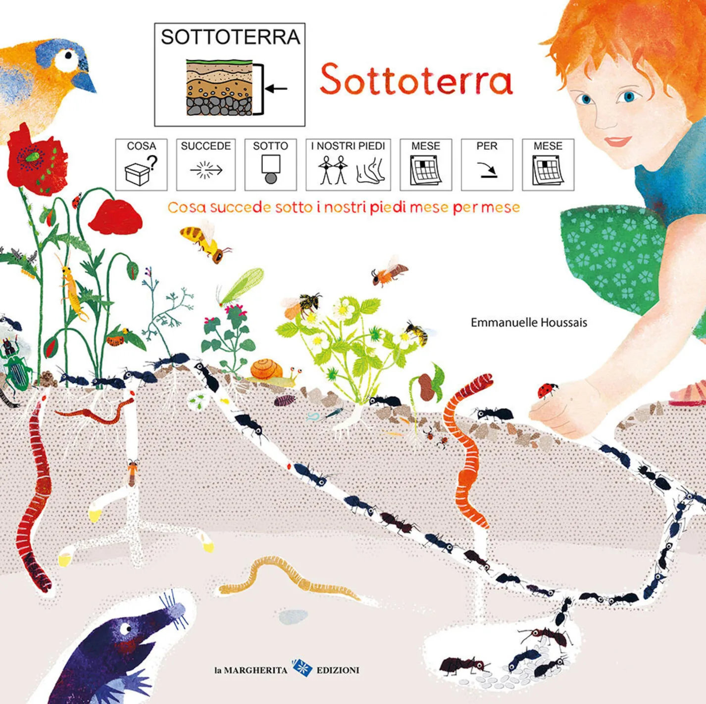 Sottoterra. Cosa succede sotto i nostri piedi mese per mese