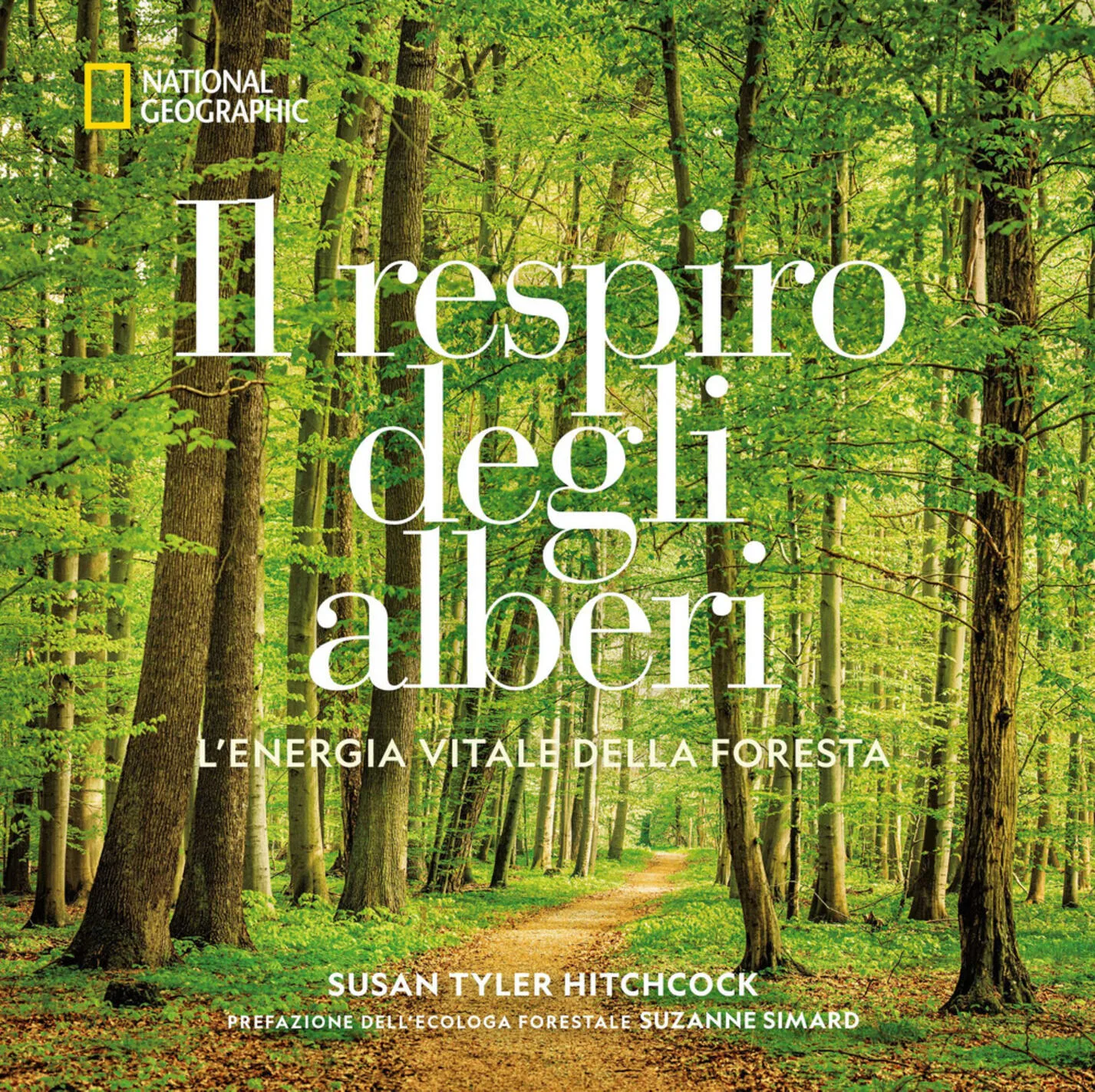 il respiro degli alberi