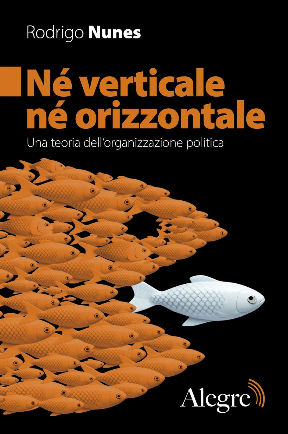 né verticale né orizzontale. una teoria dell'organizzazione politica