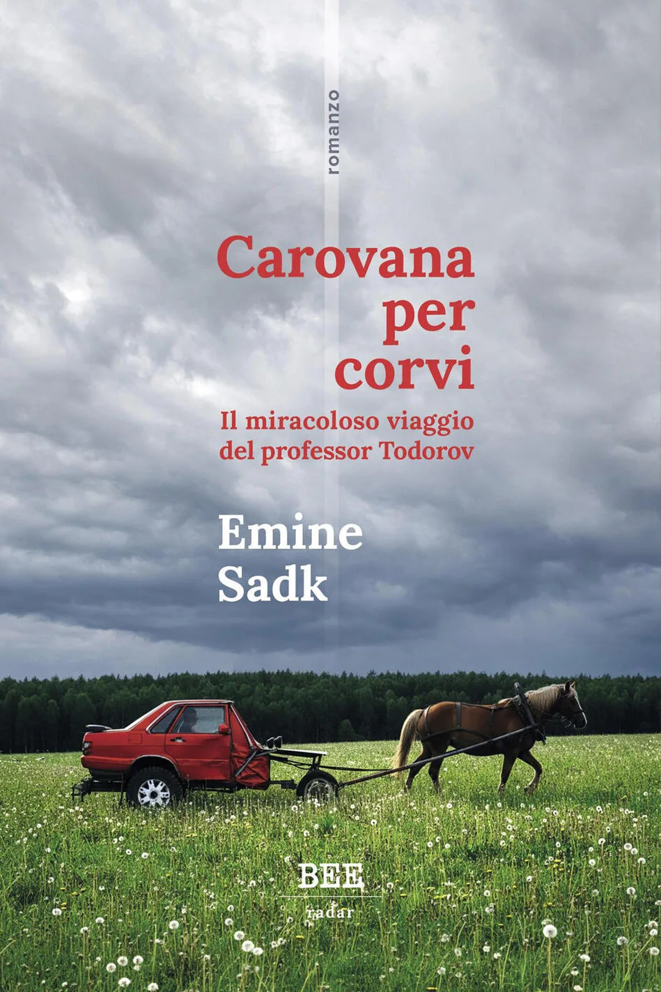 Carovana per corvi