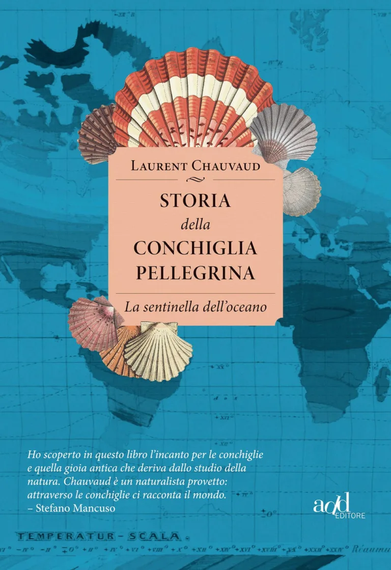 Storia della conchiglia pellegrina. La sentinella dell'oceano