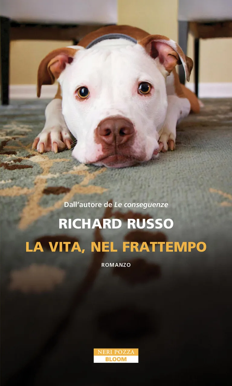 La vita, nel frattempo
