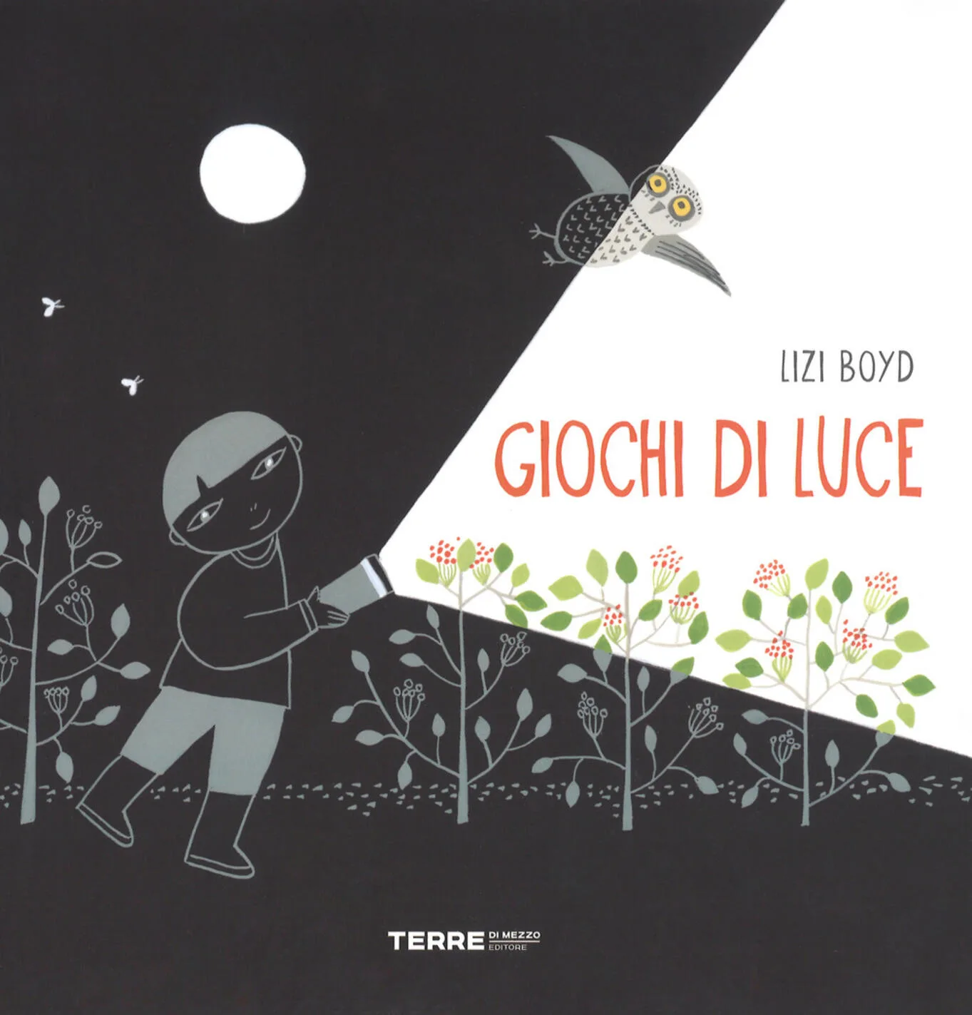 GIOCHI DI LUCE