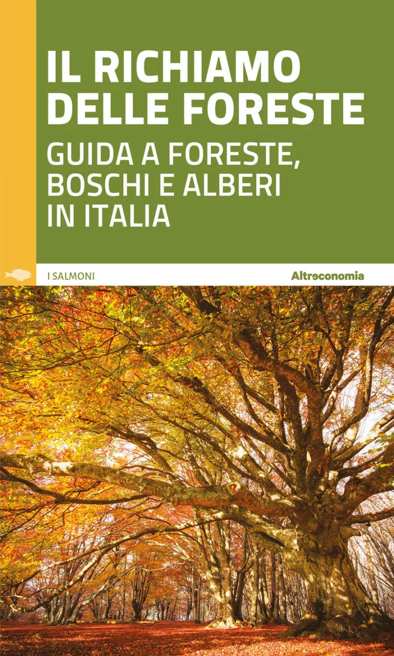 Il richiamo delle foreste Guida a foreste, boschi e alberi in Italia