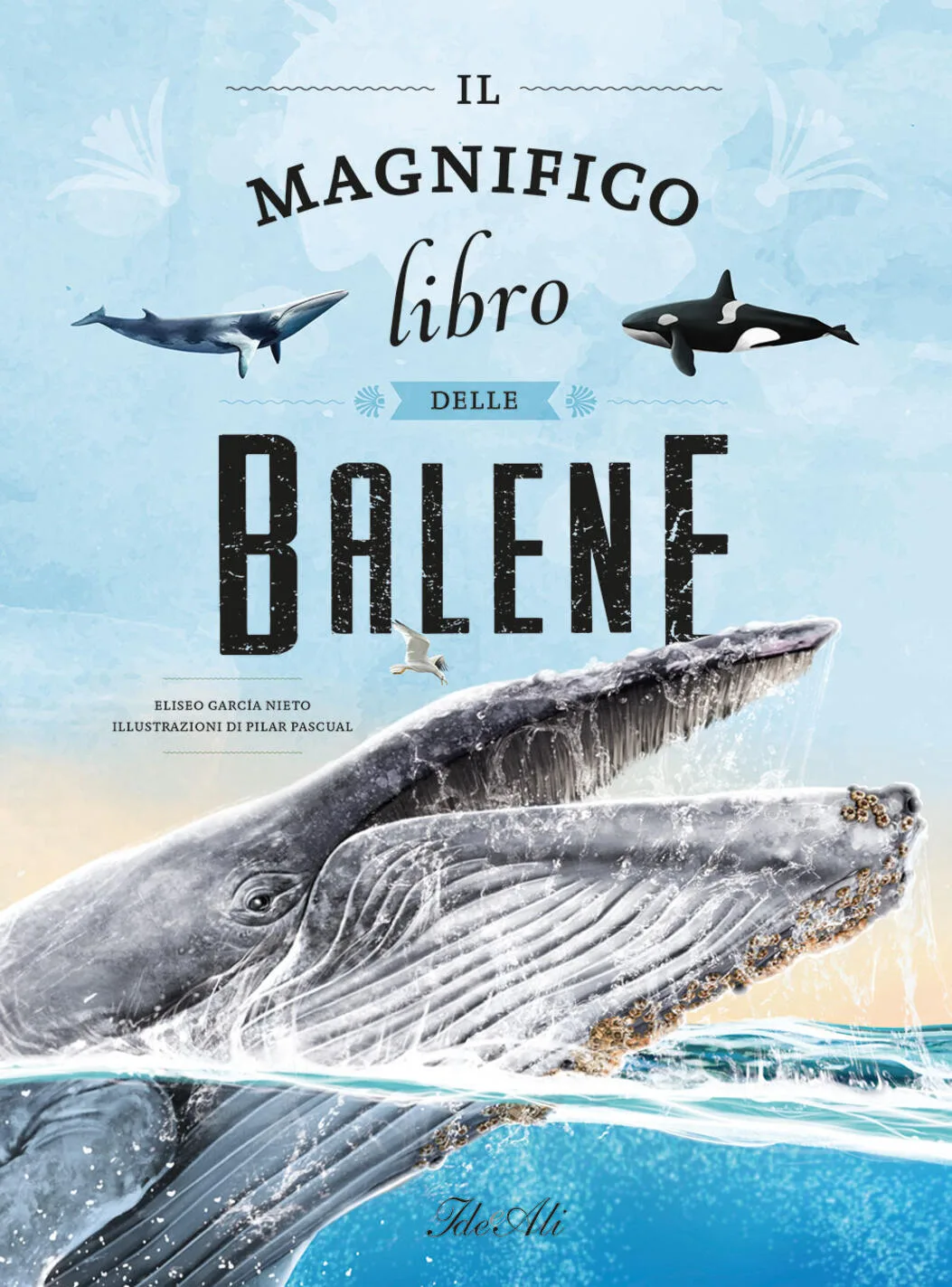il magnifico libro dellebalene
