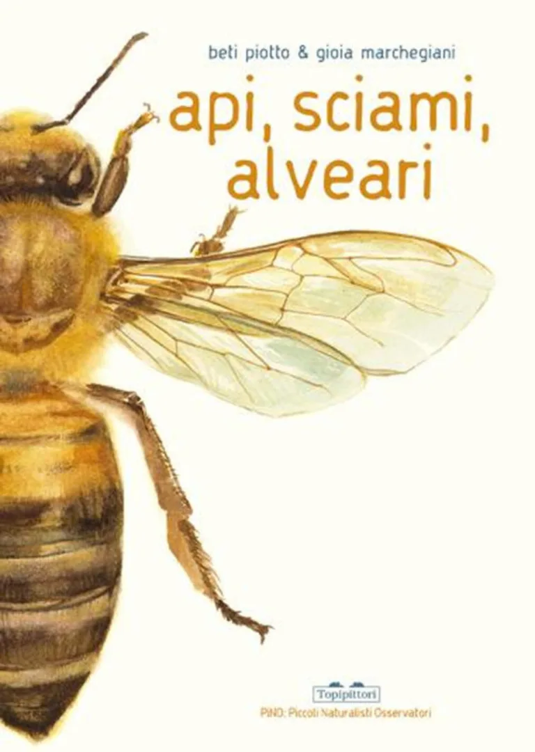 Api, sciami, alveari.
