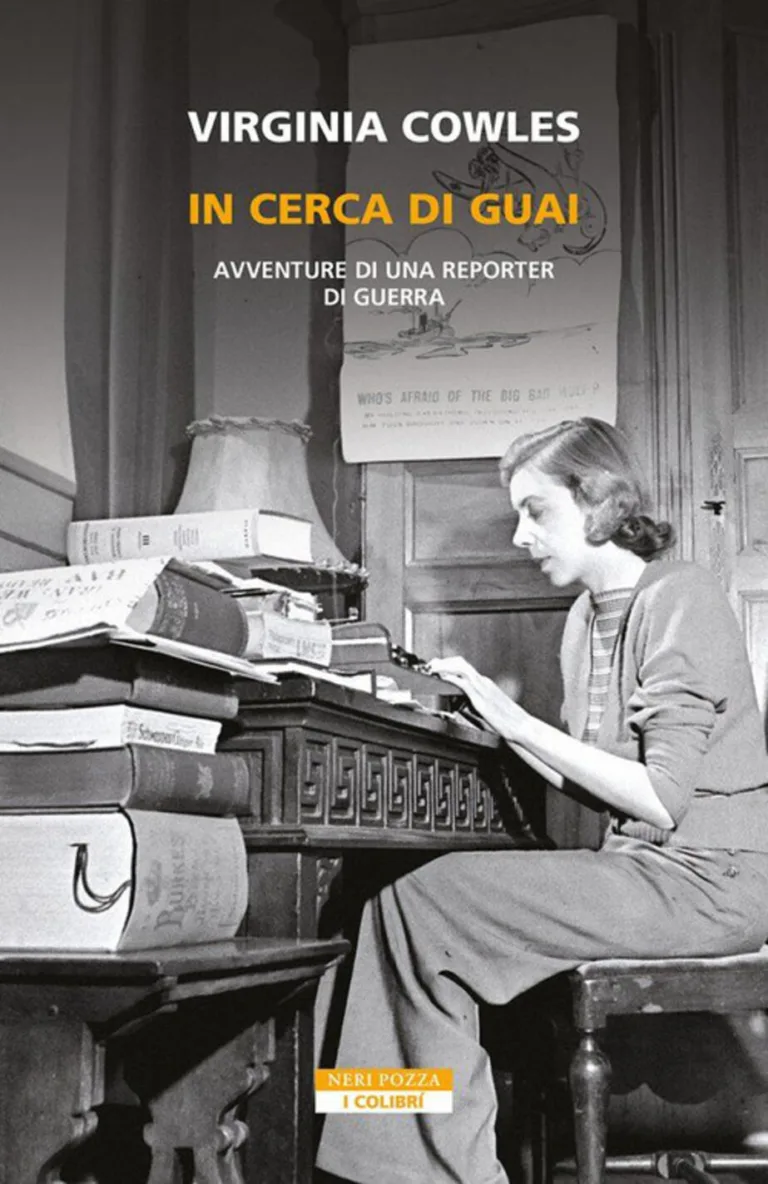 In cerca di guai