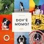 Dov'è Momo? Ediz. illustrata