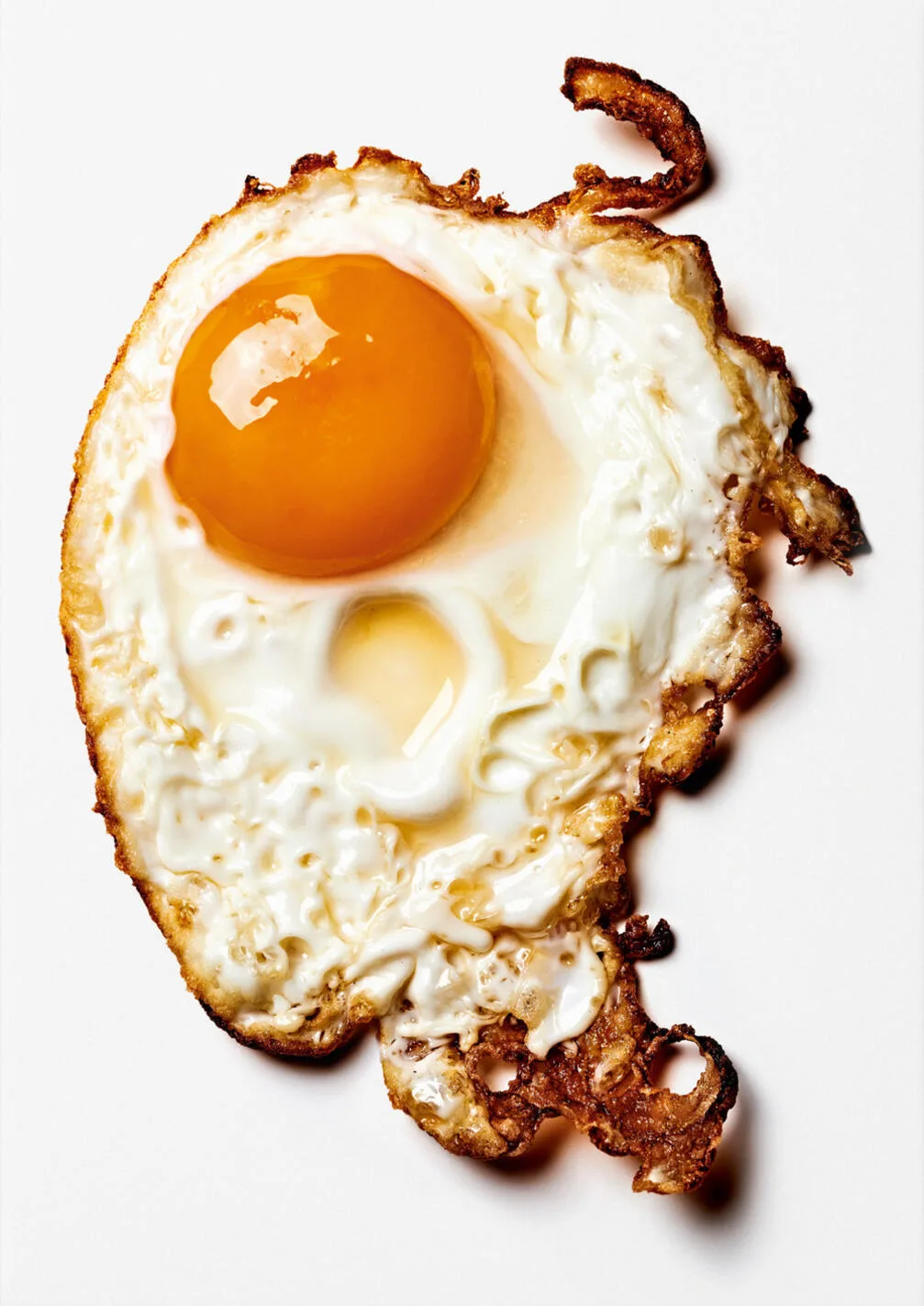 The gourmand's egg. A collection of stories & recipes
