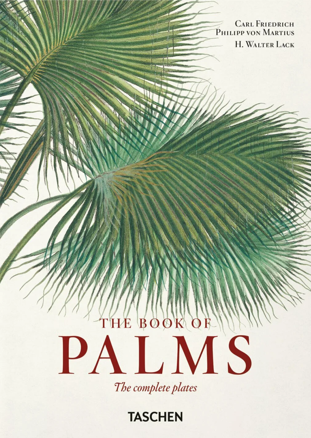 The book of palms. 40th anniversary edition