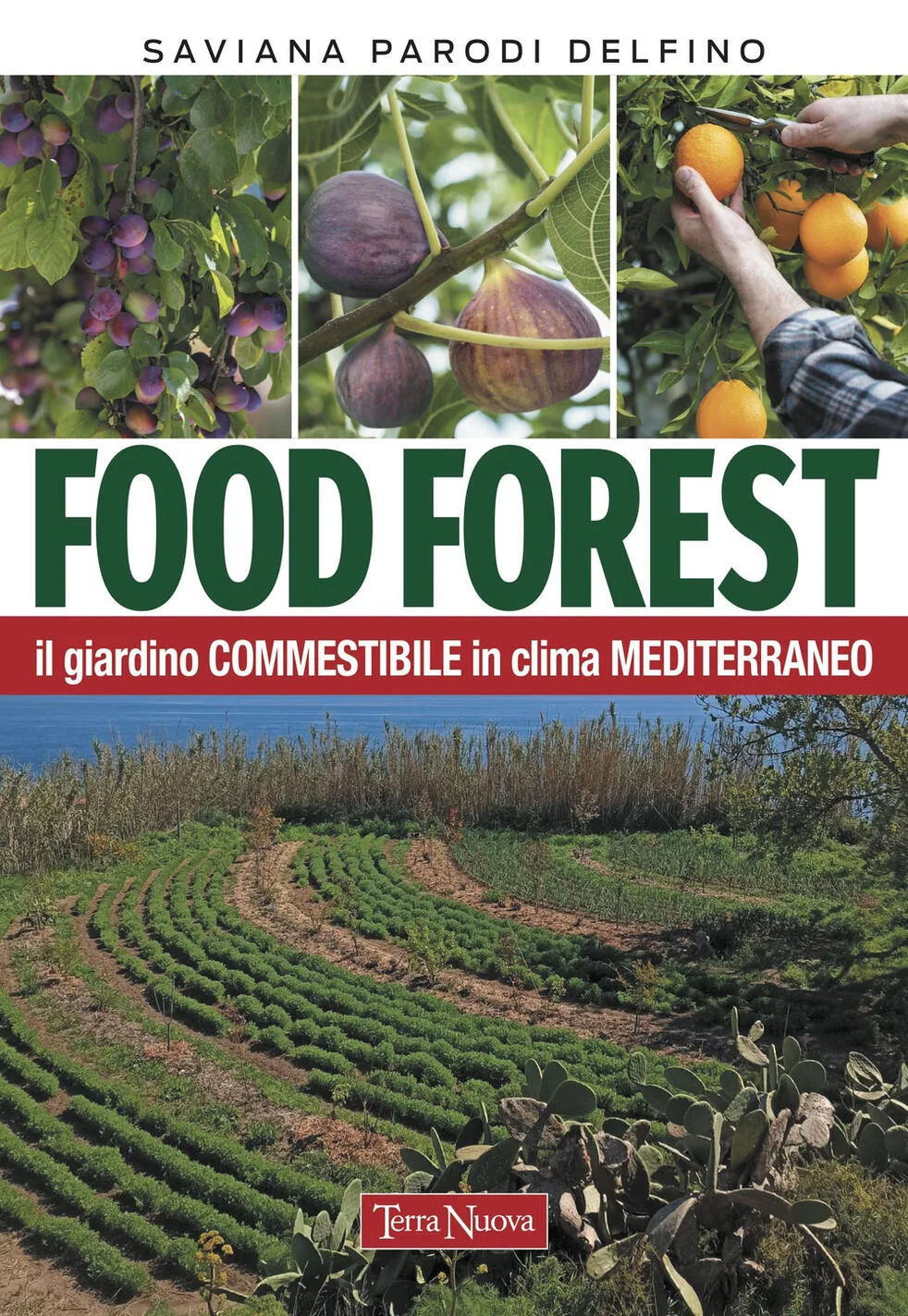 Food forest